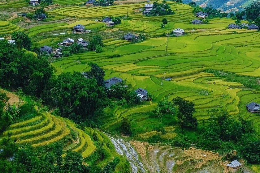 Image gallery